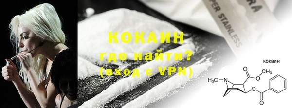 мдпв Богданович