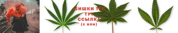 PSILOCYBIN Богородицк