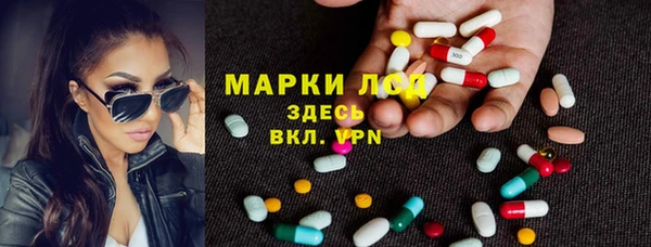 мдпв Богородск
