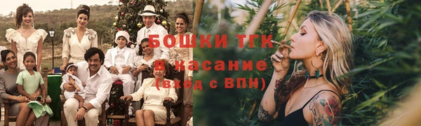 мдпв Богородск
