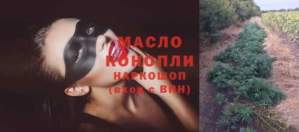 мдпв Богородск