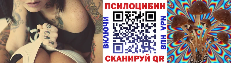 Псилоцибиновые грибы MAGIC MUSHROOMS  закладка  Елизаветинская 