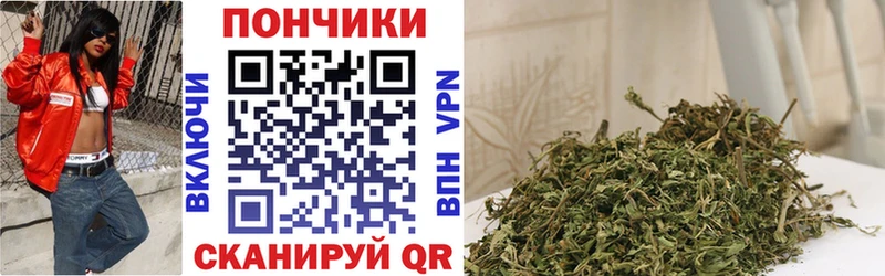 Шишки марихуана гибрид  Елизаветинская 